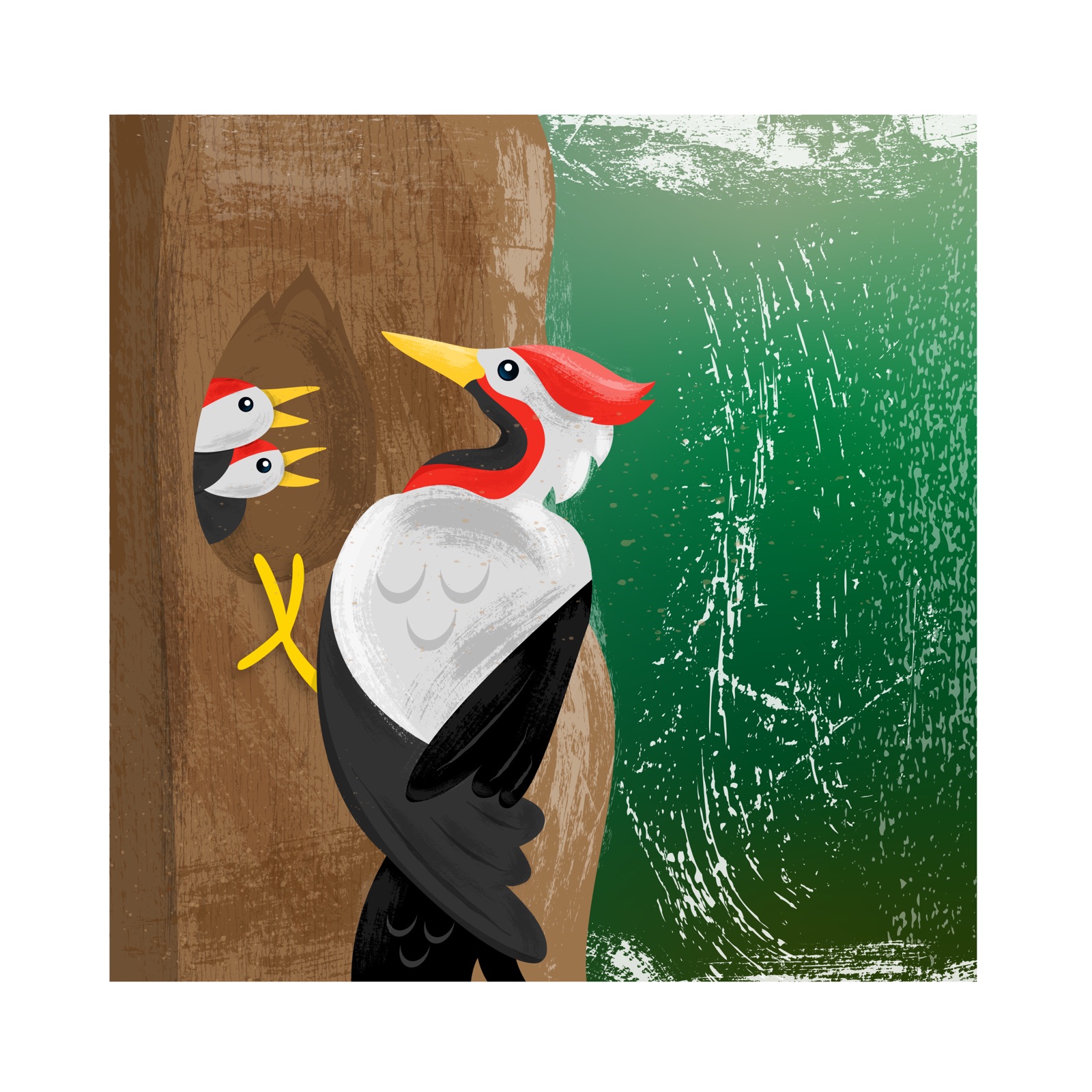 Illustration